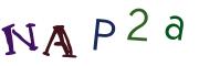 CAPTCHA visuel